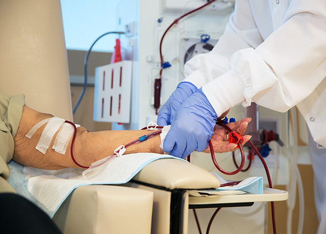 best nephrologist in kolkata